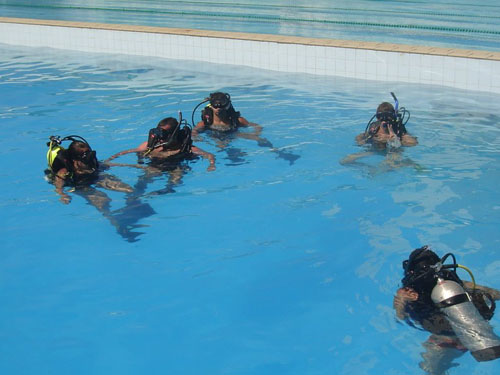 Curso Storz Treinamentos